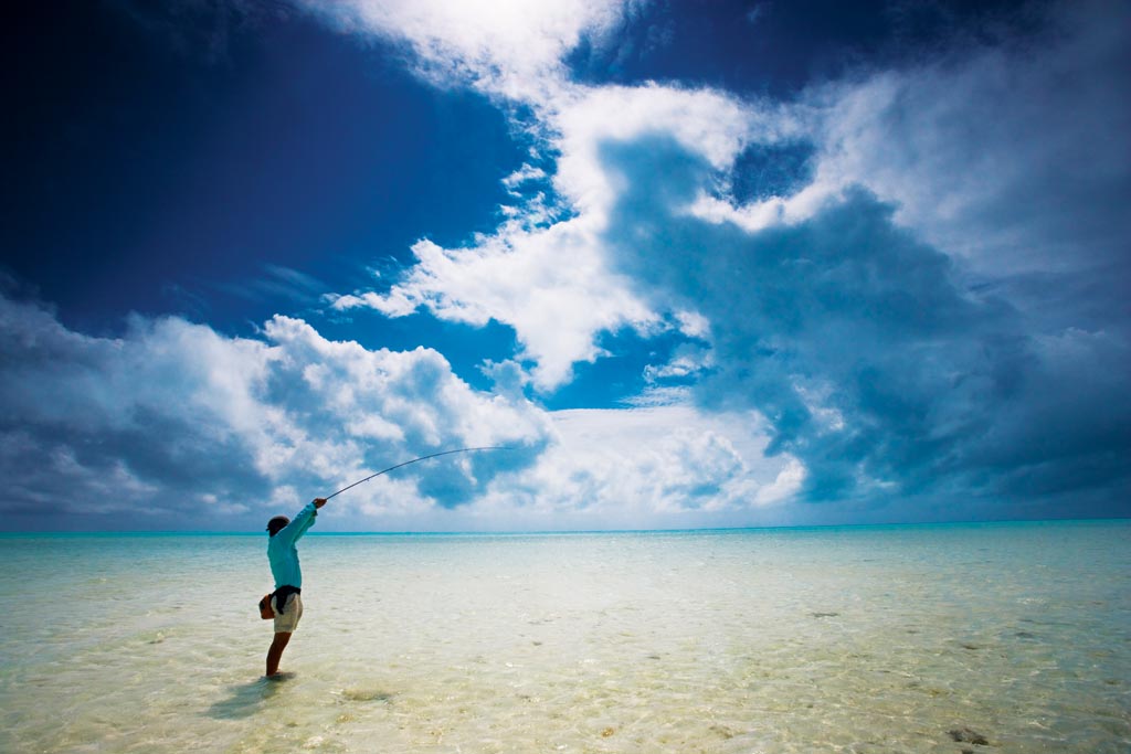 2010 blue skies