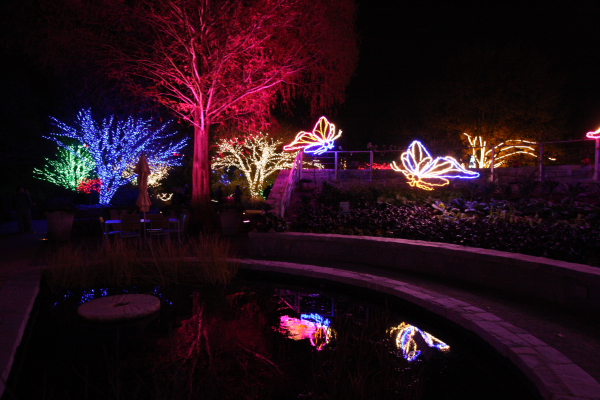 enchanted garden of lights atlanta